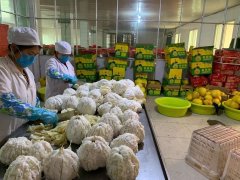 果酒来料加工厂家｜客户自备鲜果原料，酒厂酿
