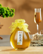 总部有哪些扶持政策？